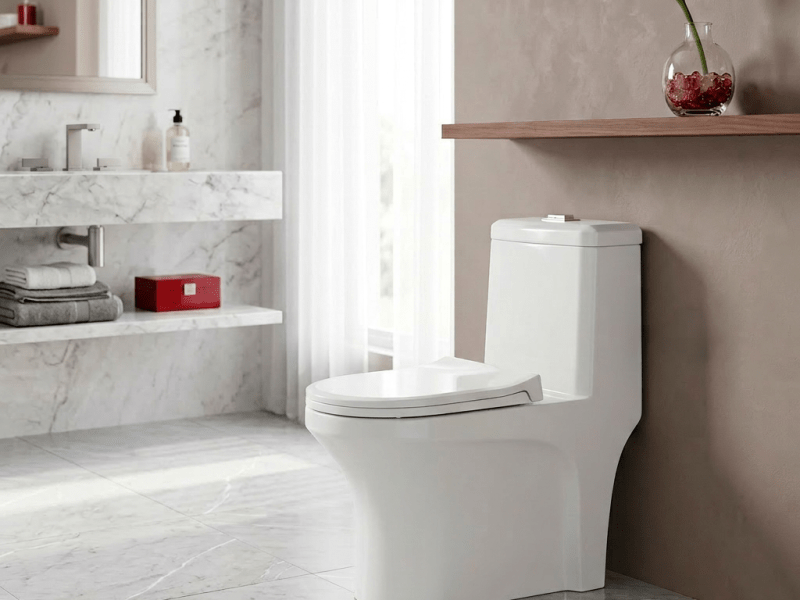 Bacias Sanitárias Bracci: como escolher o modelo ideal para o seu&nbsp;projeto